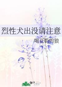 念念忘不掉免费阅读全文