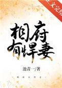 相府的夫人