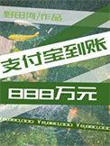 支付宝到账10000000