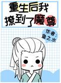 炮灰重生后撩到了魔尊谁攻