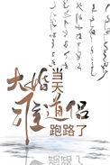 大婚当天准道侣跑路了 发如青丝