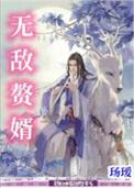 无敌赘婿全文TXT