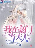 我在豪门当夫人 凤轻讲什么
