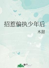 招惹偏执少年后晋江