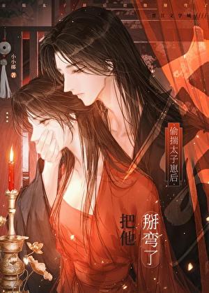 偷揣太子崽后把他掰弯了智能