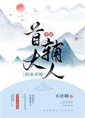穿成首辅大人的童养媳晋江