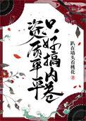 资质平平123