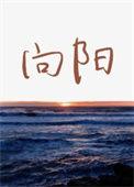 向阳章争章内容怎么写
