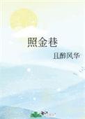 照金巷且醉风华