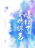 女配在婆媳综艺爆红了txt