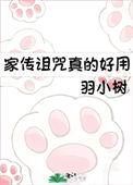经典传奇家族诅咒背后的秘密