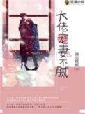 大佬宠妻不腻简介