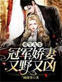 重生九零冠军娇妻又野又凶无弹窗