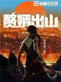 赘婿出山怎么样