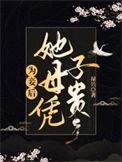 为妾后她母凭子贵TXT资源