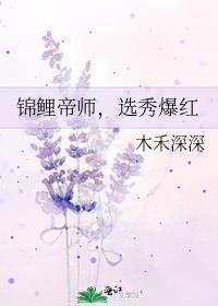 锦鲤ip