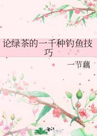 论绿茶的一千种钓鱼技巧 一节藕