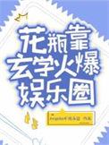 娱乐圈花瓶是学霸