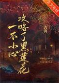 一不小心攻略了起点渣男笔趣阁