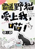 霸道总裁爱上喵 专业围观