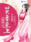 暖婚之贤妻至上TXT