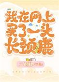 一头长颈鹿大概多少钱