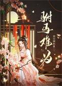 驸马难为女尊txt