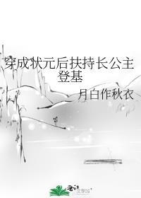 穿越成状元夫人