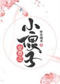 女尊之傻子王爷