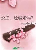 还骗婚吗txt