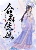 公府佳媳的cp