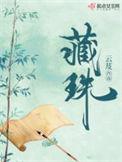 藏珠免费全文免费阅读