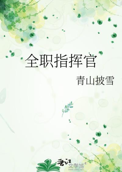 全职指挥官txt盘