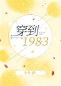 穿到1983讲的什么