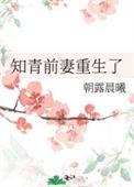 知青前妻重生了作者铃溪