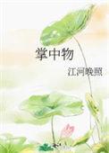出宫前夜