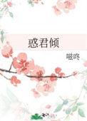 惑君倾讲什么