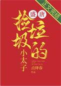 盛唐捡垃圾的小太子全文免费阅读