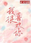 我很喜欢你们国家英文