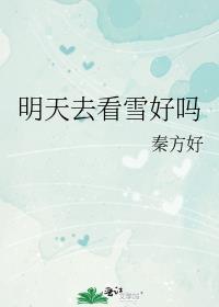 8点50除以2点点8等于几