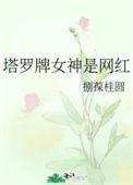 塔罗牌博主