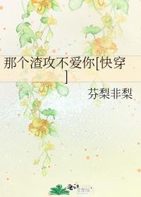 攻畋那个渣