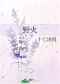 野火电视剧全集在线看