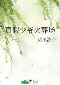 真假少爷火葬场by剧透