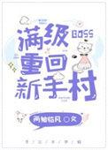 满级大佬重开新手村任务