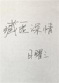 藏匿深情 日曜三 百度