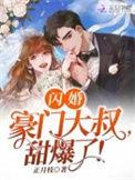 闪婚豪门大佬后短剧免费观看
