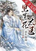 黑莲花攻略手册呀!