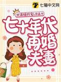 七十年代再婚夫妻笔趣阁