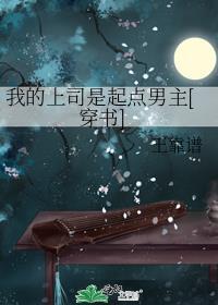 我的上司是我的前任